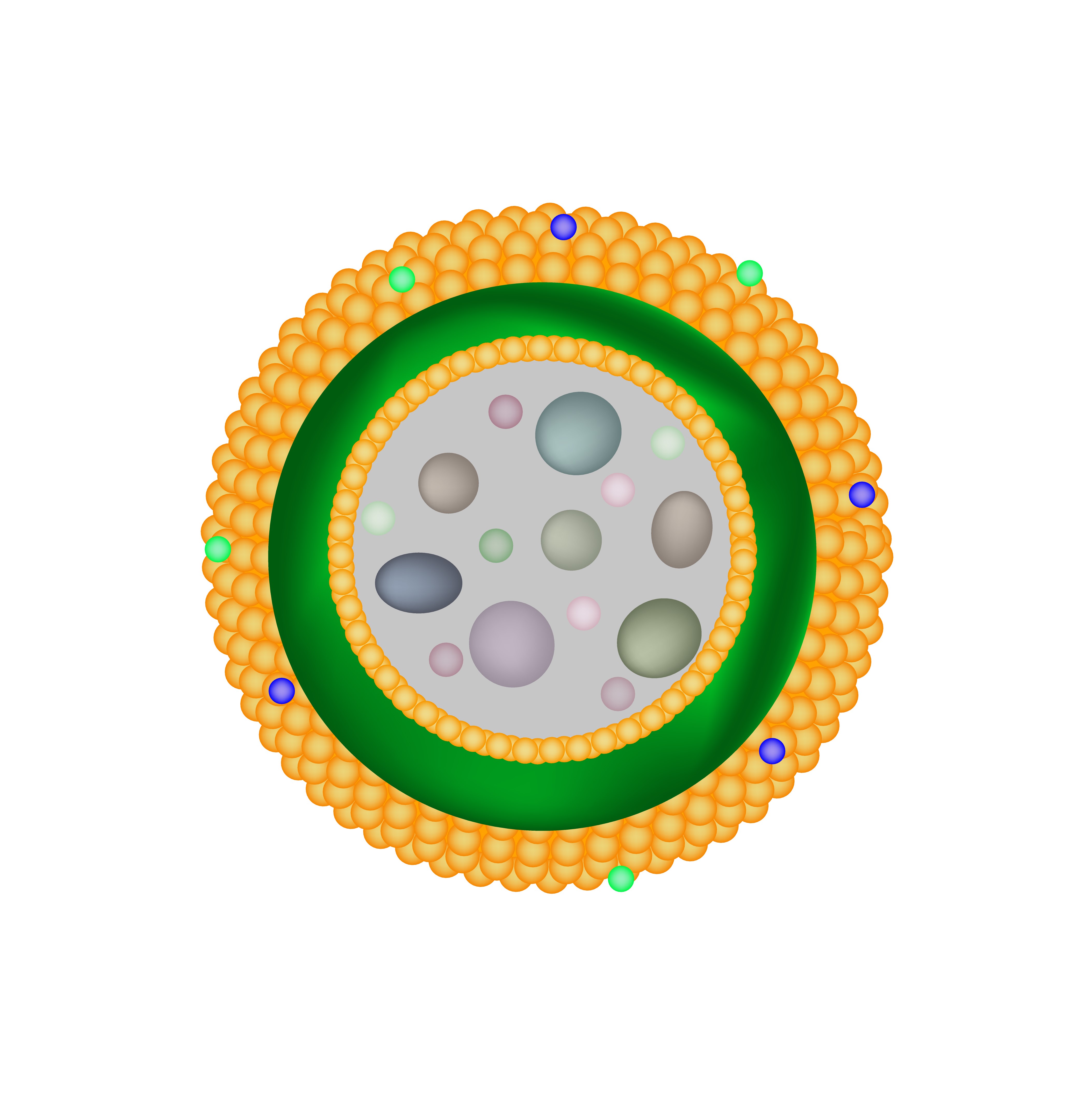 Nuove mutazioni del gene SMPD1 identificate tra bambini con ASMD in Giordania