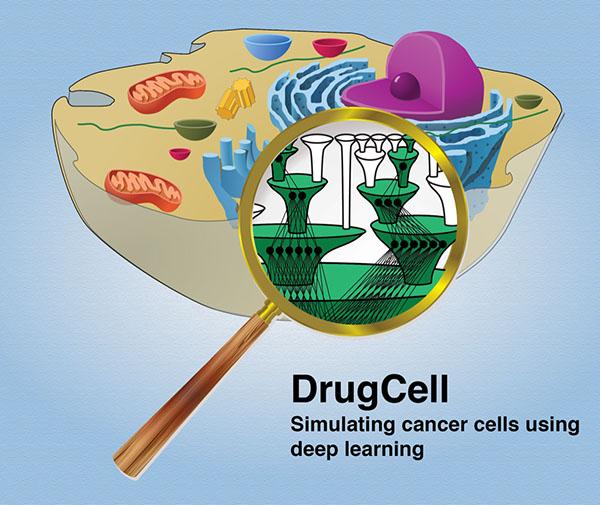 DrugCell: l’intelligenza artificiale che simula un molecolar tumor board