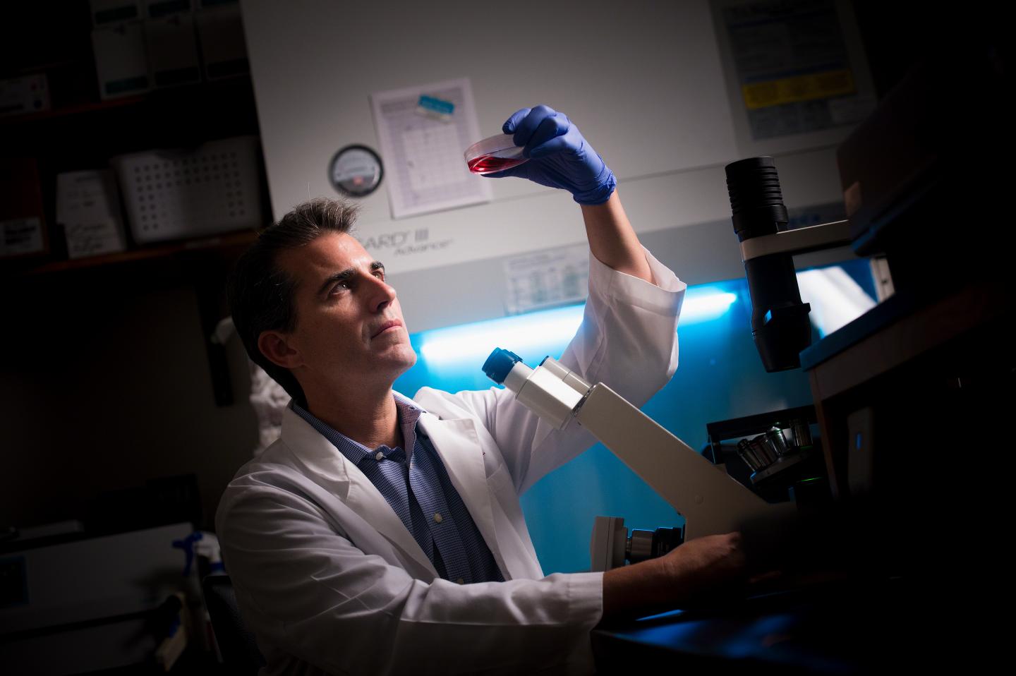 Neuroblastoma: Il possibile ruolo dei mitocondri nello sviluppo del tumore