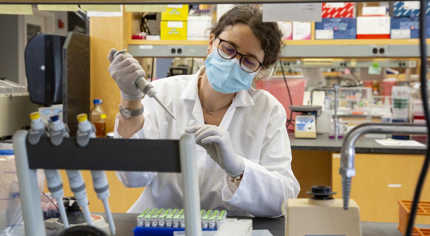 La genetica della paura