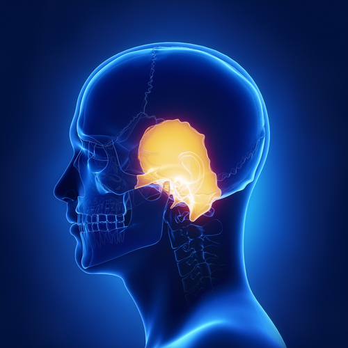MPS e perdita di udito: conoscenze attuali e prospettive future