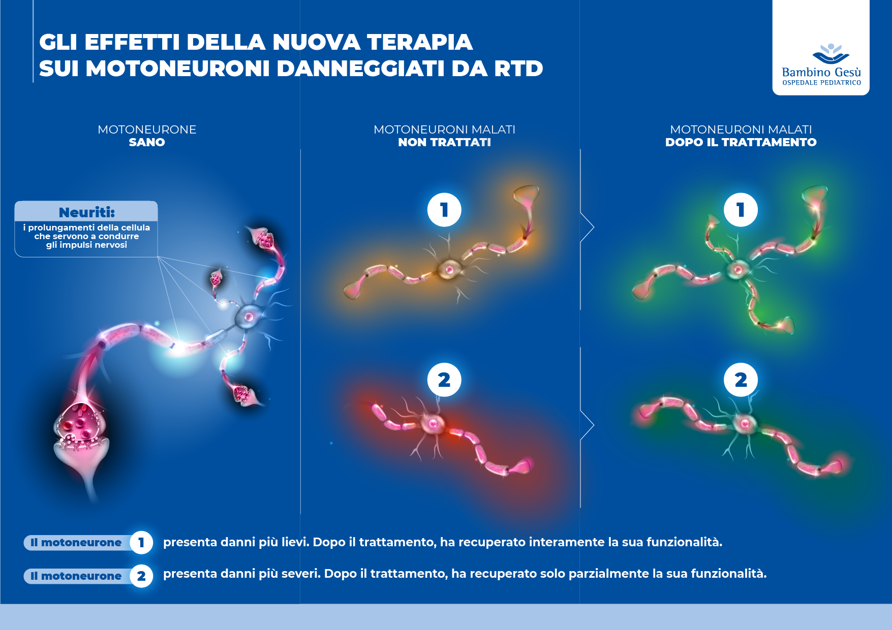 Un farmaco per il deficit da trasporto di riboflavina