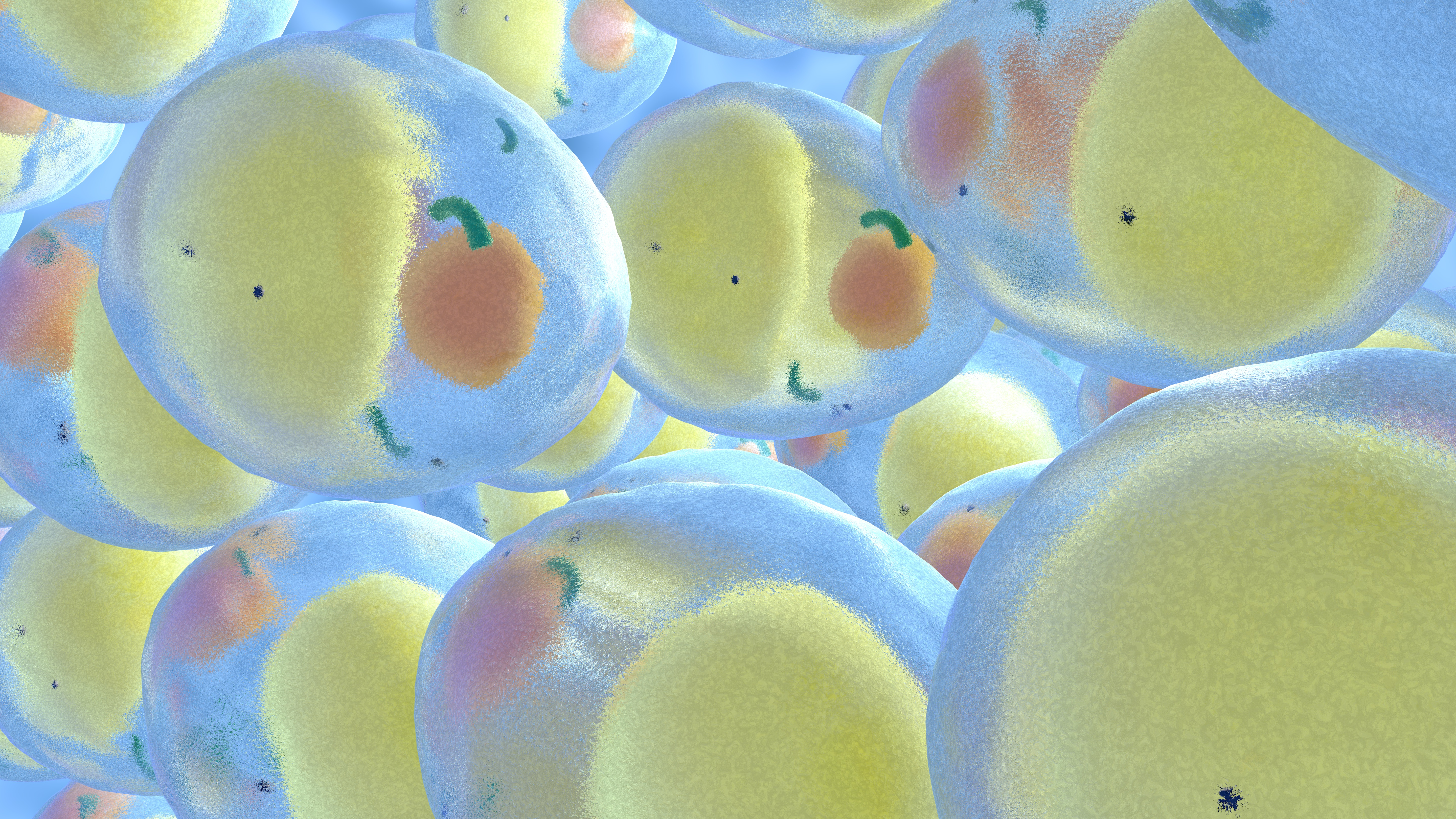 Adipociti: alleati del carcinoma ovarico