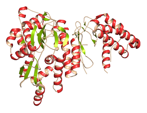 Emicrania: efficacia ed effetto placebo degli anticorpi CGRP