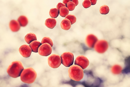 Carcinoma polmonare: il ruolo del microbioma polmonare nello sviluppo del tumore