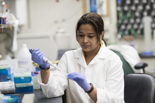 Cancro al seno triplo negativo: il ruolo dell’oncogene TRIM37