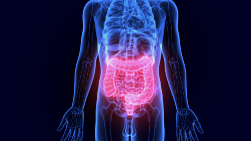 Malattia infiammatoria intestinale e rischio di epatite autoimmune