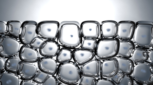 Pelle atopica: cambiamenti a livello dello strato lipidico e nel contenuto di ceramidi