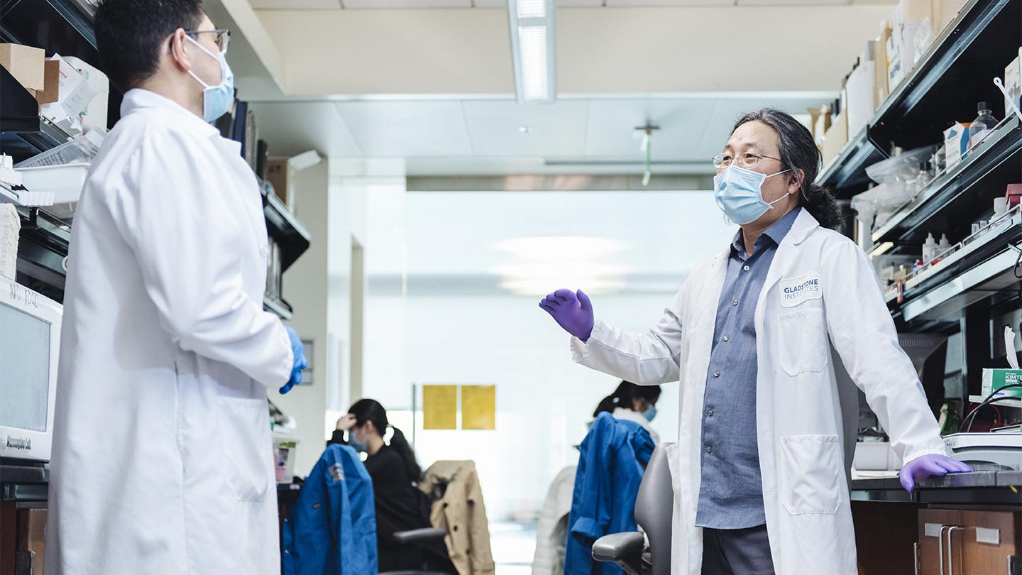 Il ruolo del fibrinogeno nei linfomi cerebrali primitivi