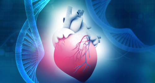 SGLT2i in pazienti con malattie cardiache congenite
