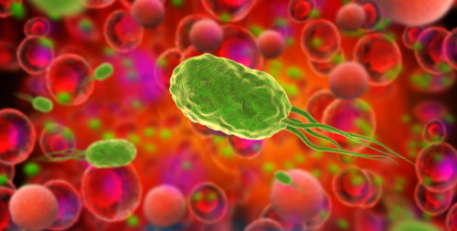 Un protocollo può aumentare il numero di test per Helicobacter Pylori effettuati in occasione di ricovero per ulcera