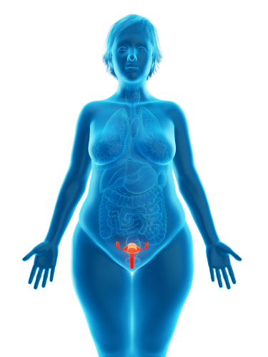 Relazione tra cancro ovarico e microbiota genitale