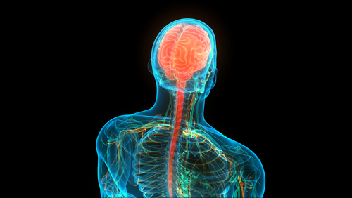 Chirurgia mininvasiva preferibile a quella a cielo aperto in lesioni spinali