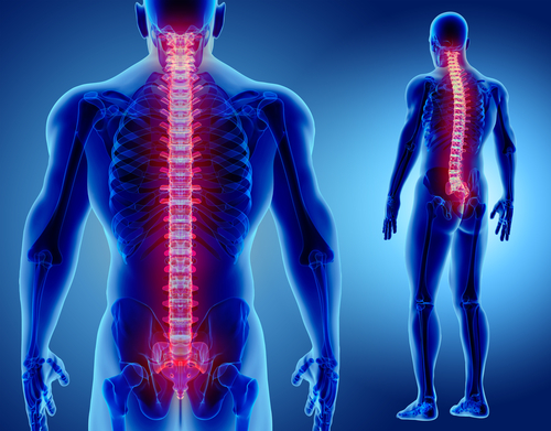 Il mal di schiena è diffuso tra i piloti di aereo, soprattutto a causa di sedute scomode