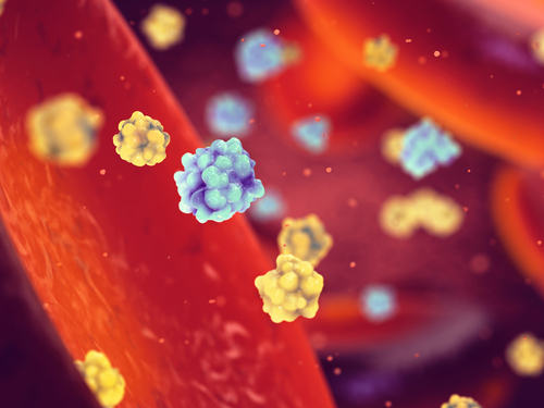 Glicemia e sistema nervoso autonomo: nuove correlazioni con età e sesso