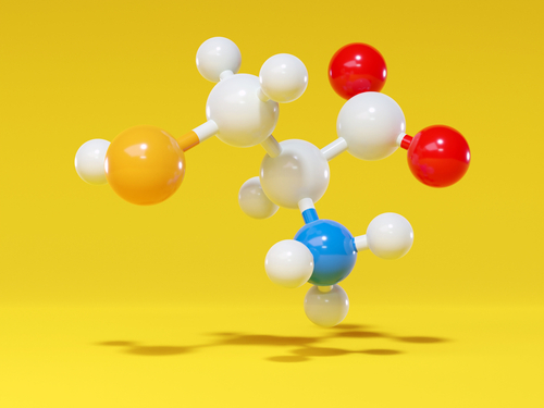 Scoperto un meccanismo alla base dell’interazione tra il sistema immunitario e l’ipertensione