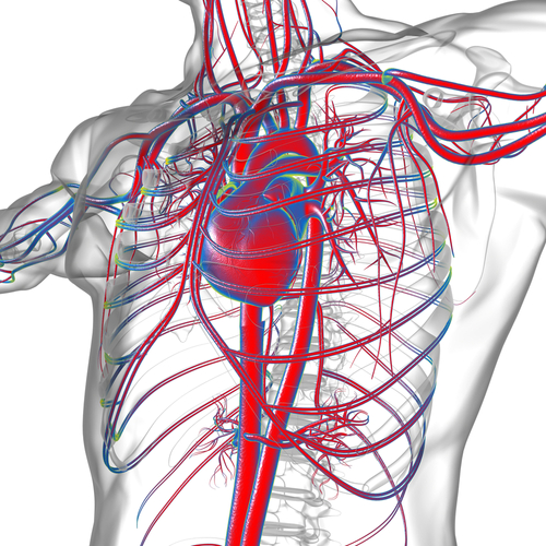 Trapianto di cuore e cancro cutaneo: ecco i dati che ogni medico deve sapere