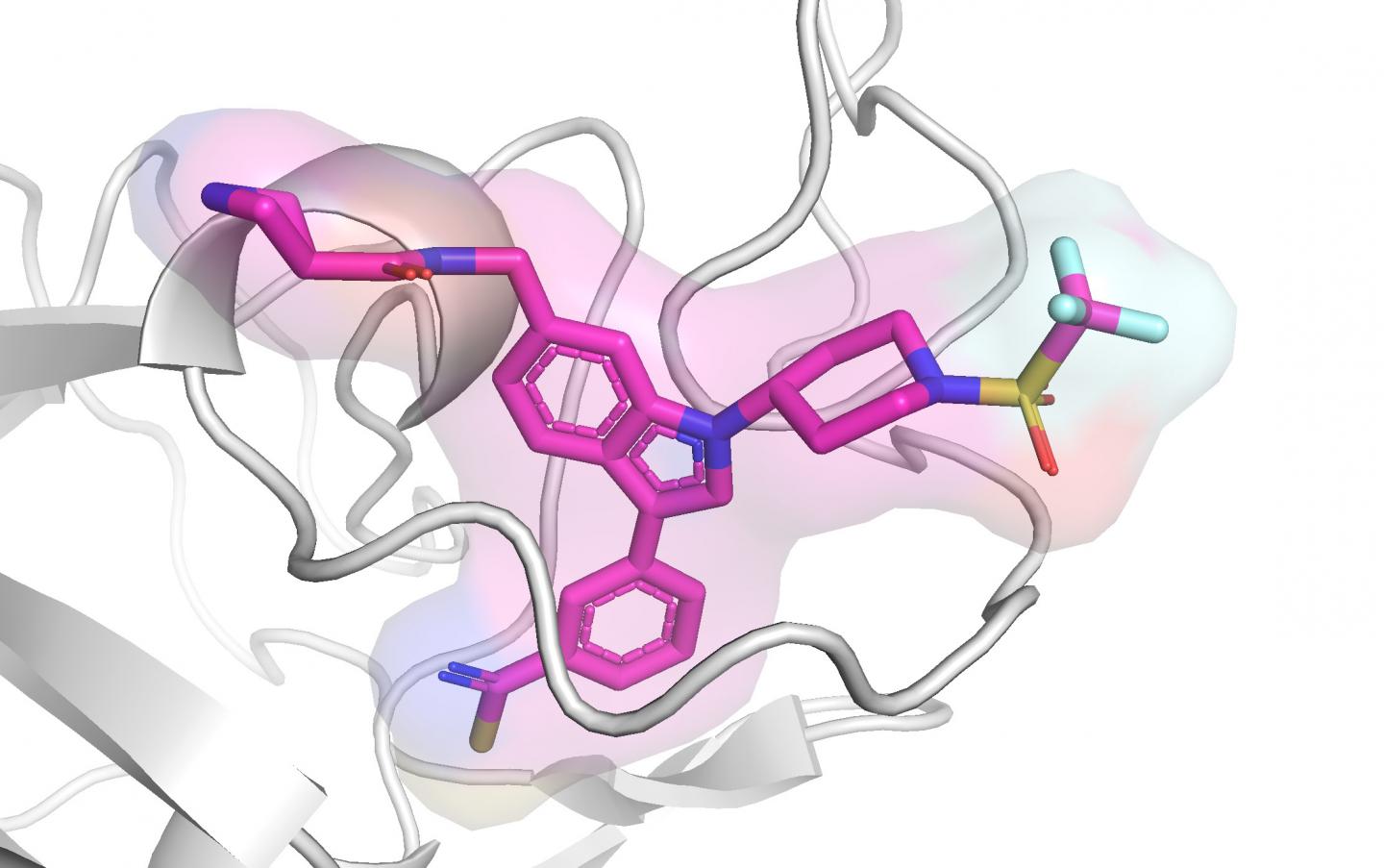 Sviluppi degli inibitori di ASH1L con un’attività anti-leucemica