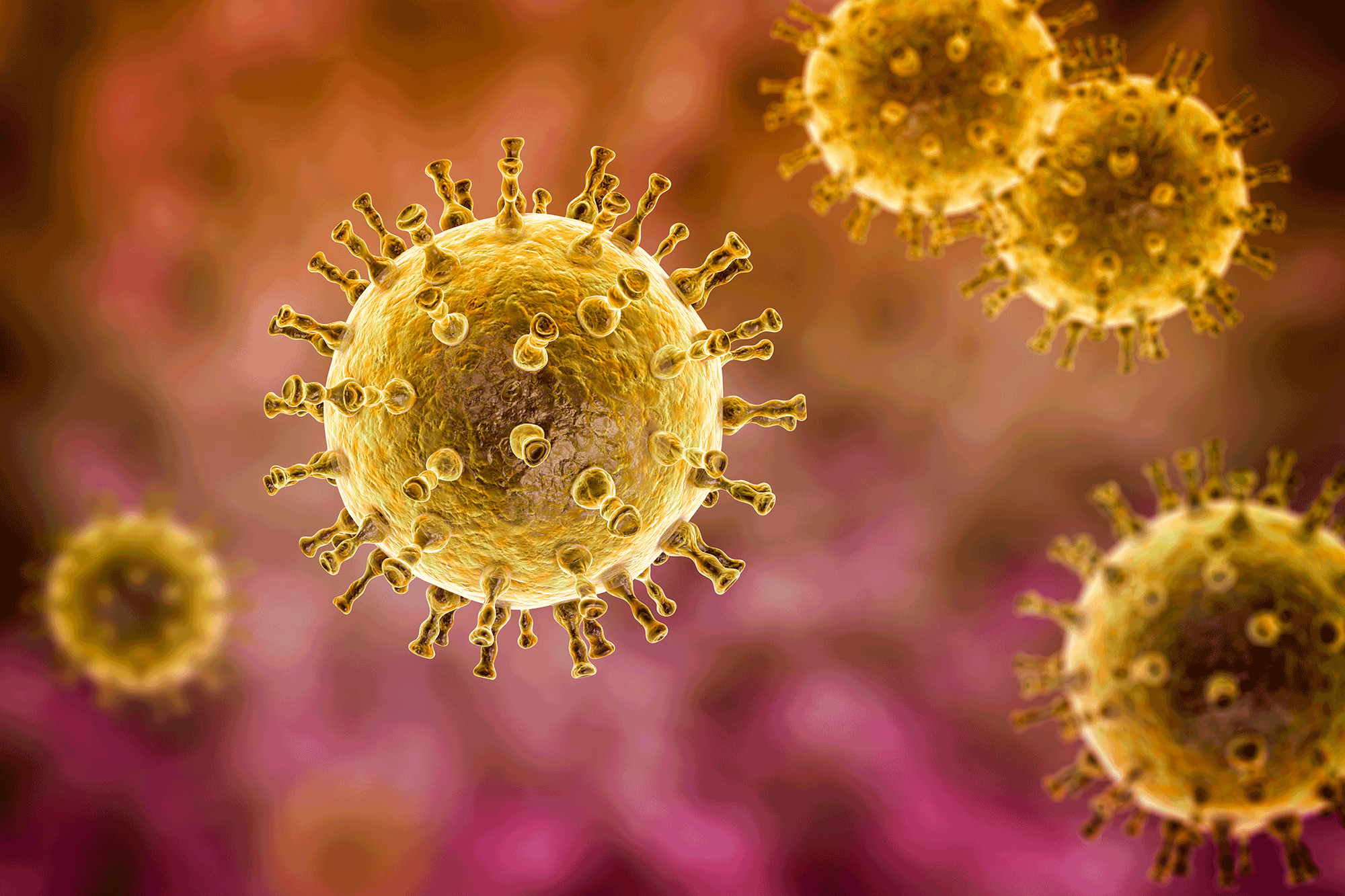 Herpes zoster: allungare la terapia con famciclovir non riduce maggiormente il dolore