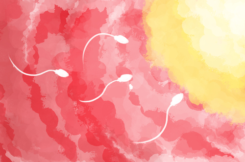 La contraccezione d’emergenza come intervento di salute pubblica: c’è ancora tanto da fare