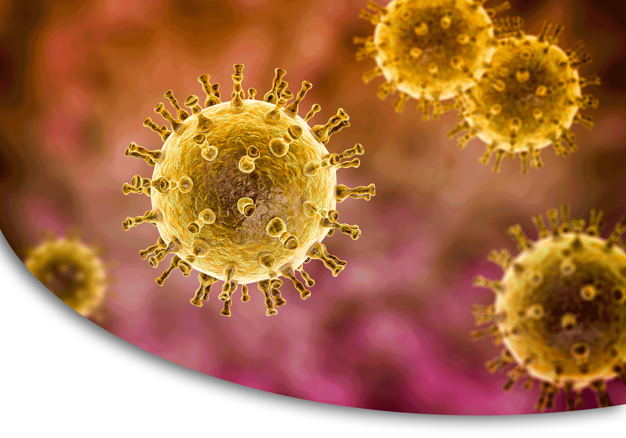 Vaccino zoster ricombinante tra adulti negli Stati Uniti