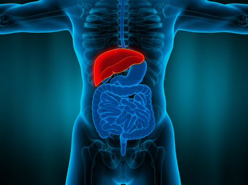 Impiego della viscoelastometria nella gestione del sanguinamento secondario a malattie epatiche