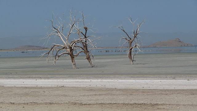 L’esposizione all’aerosol del Salton Sea innesca una risposta polmonare unica e misteriosa