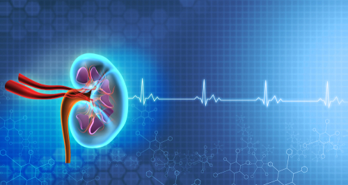 Sotagliflozin riduce il rischio ischemico nei pazienti con diabete di tipo 2 e malattia renale cronica
