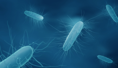 Clostridium difficile dopo chirurgia ortopedica: incidenza, fattori associati e impatto sull’esito