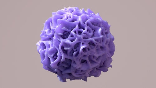 I macrofagi: potenziale bersaglio per i tumori al seno invasivi