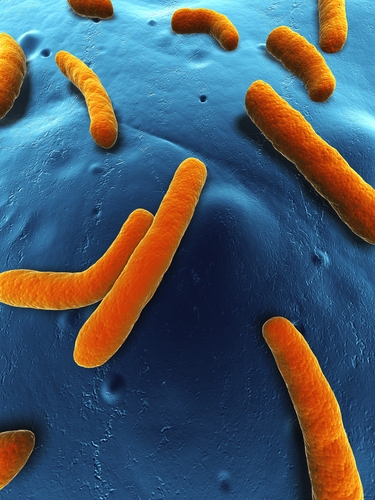 Infezioni da Aeromonas: caratteristiche cliniche e fattori di rischio