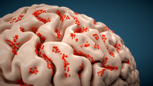 Sicurezza e immunogenicità di un vaccino contro i virus dell’encefalite equina