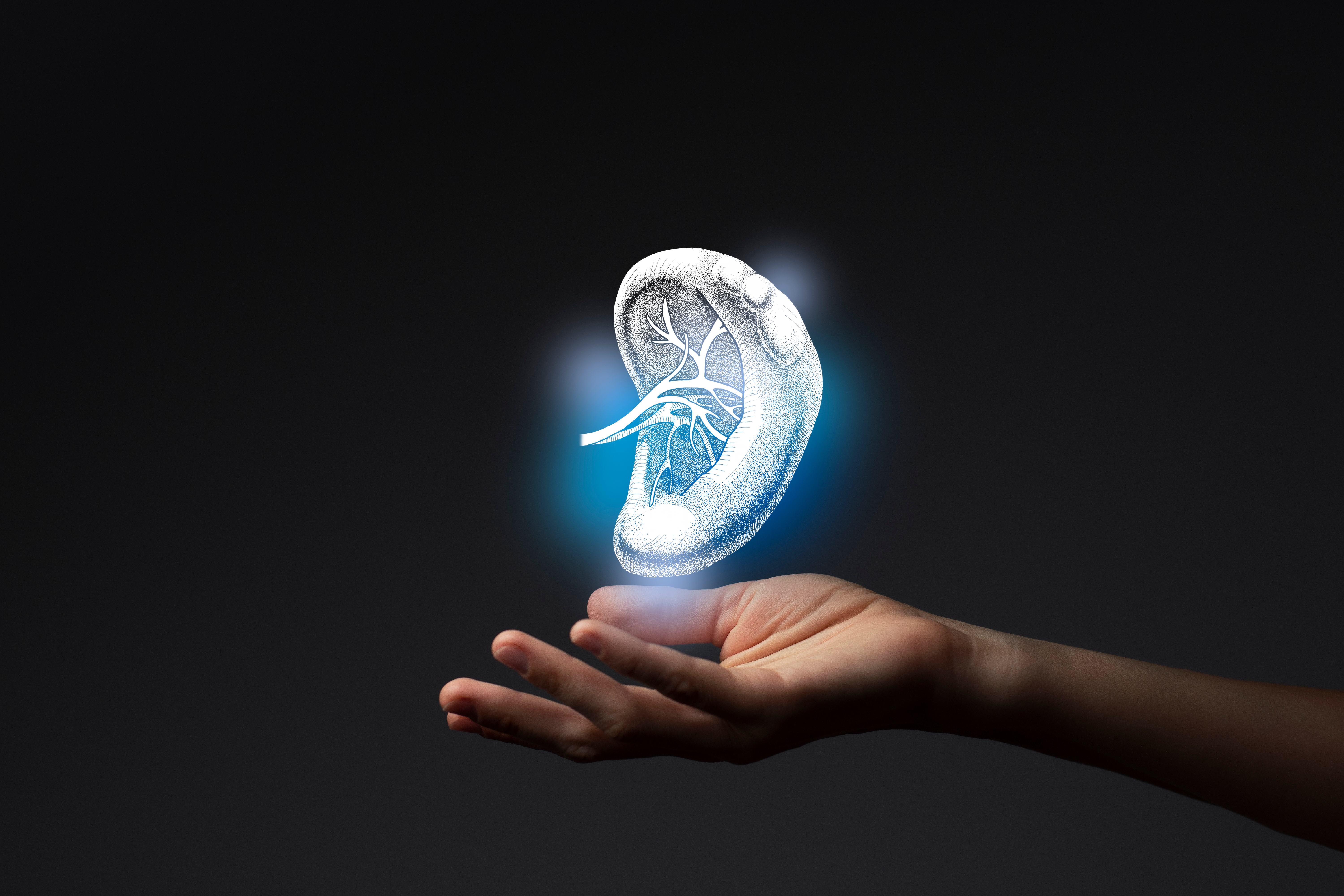 Citopenie autoimmuni pediatriche: esiti a lungo termine della splenectomia