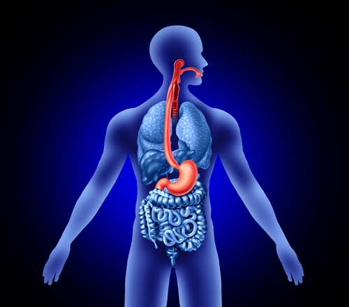 Efficacia e sicurezza della nutrizione enterale/parenterale post-operatoria in pazienti con cancro gastrointestinale