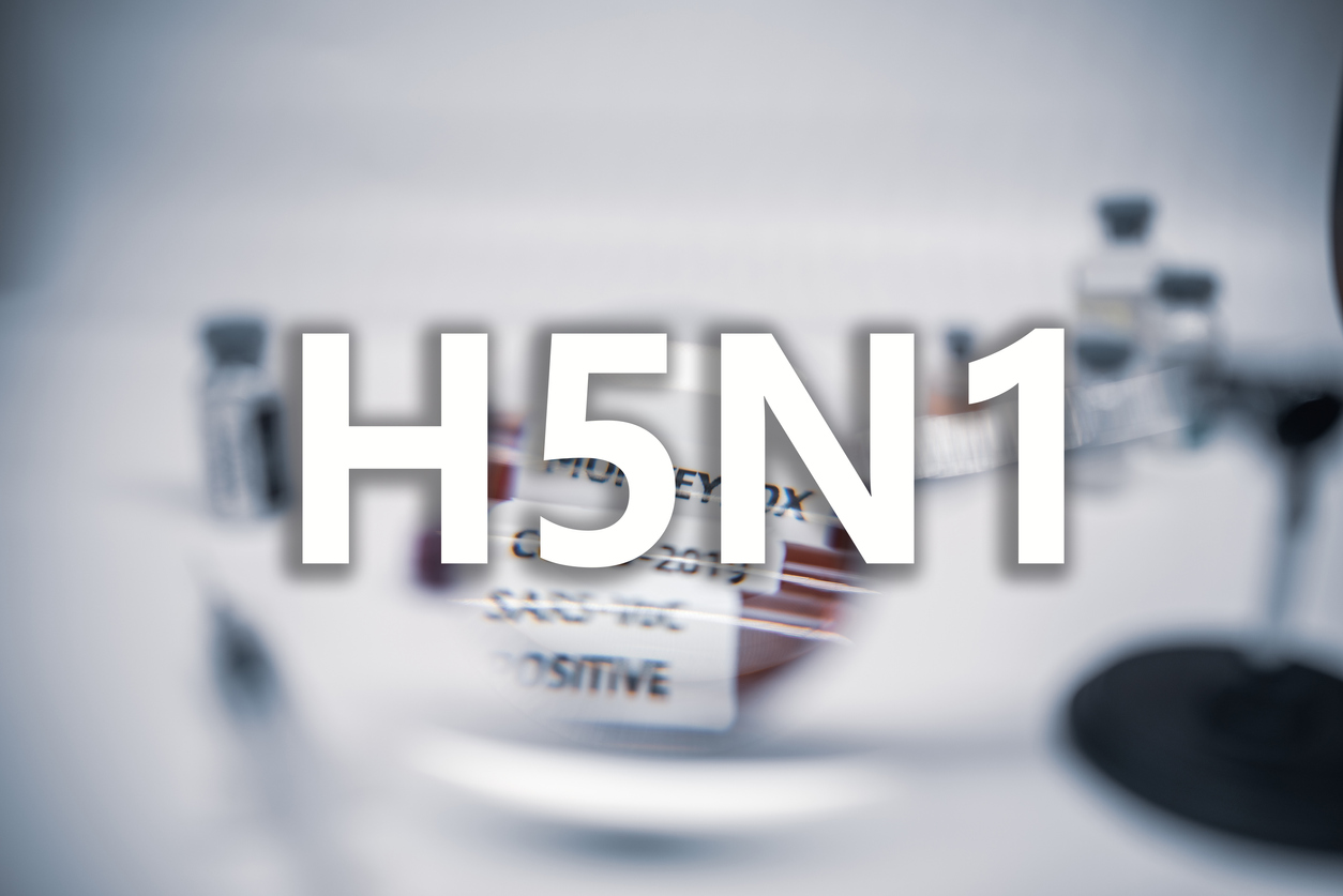 Influenza aviaria. L’Australia ufficializza il primo caso di trasmissione ad un essere umano