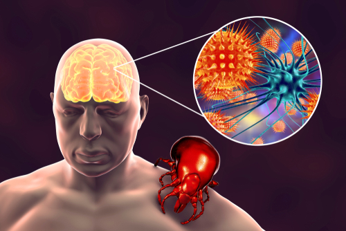 Gestione integrata delle infezioni da Arbovirus