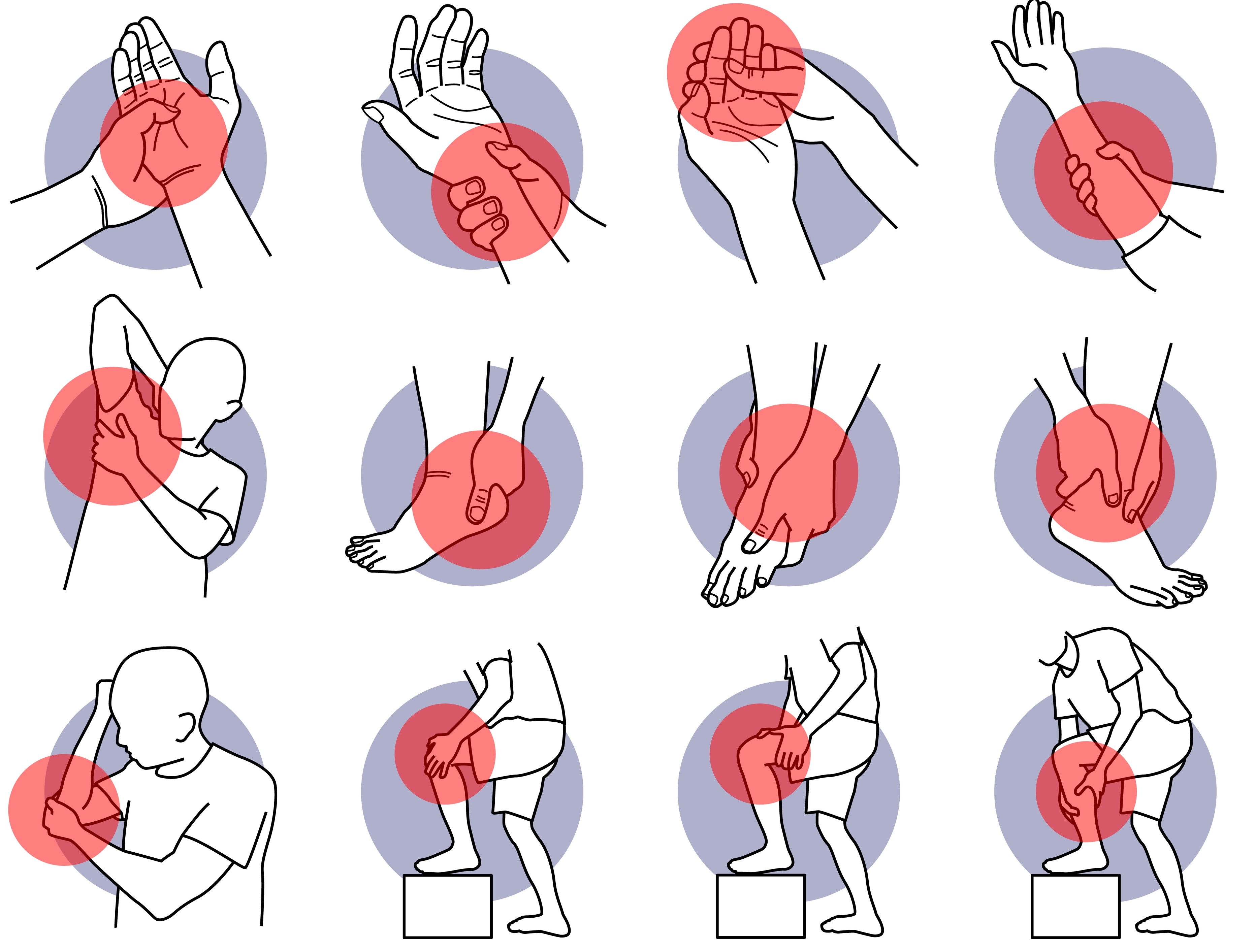 Cetilar e Tendinopatie