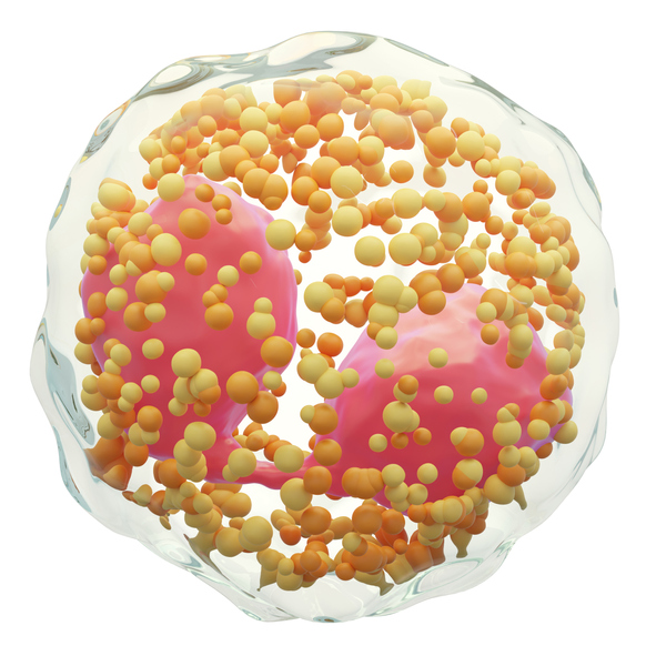 Mepolizumab: terapia di precisione per le malattie eosinofile