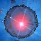 Pma. Rapporto Cedap: in aumento del 5% le gravidanze ‘in vitro’: oltre 15.000 nel 2023, quasi 4 su 100