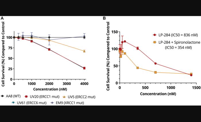 Linfoma non Hodgkin: LP-284 prende di mira i deficit di riparazione del Dna