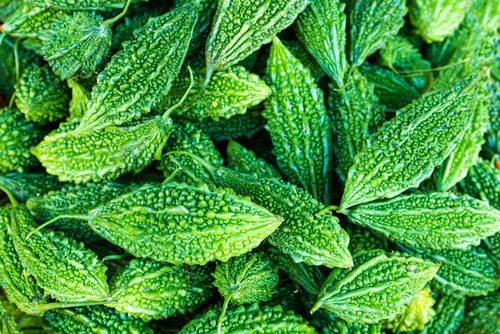 Prevenzione e trattamento dei tumori della mammella e ginecologici: possibile ruolo del melone amaro