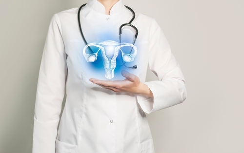 I batteri associati alla vaginosi batterica provocano infiammazione guidata dai neutrofili e alterano l’integrità della barriera epiteliale vaginale