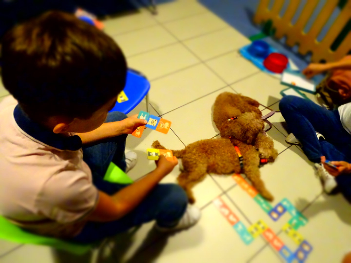 Pet therapy all’Ospedale di Villafranca per i piccoli pazienti di Pediatria