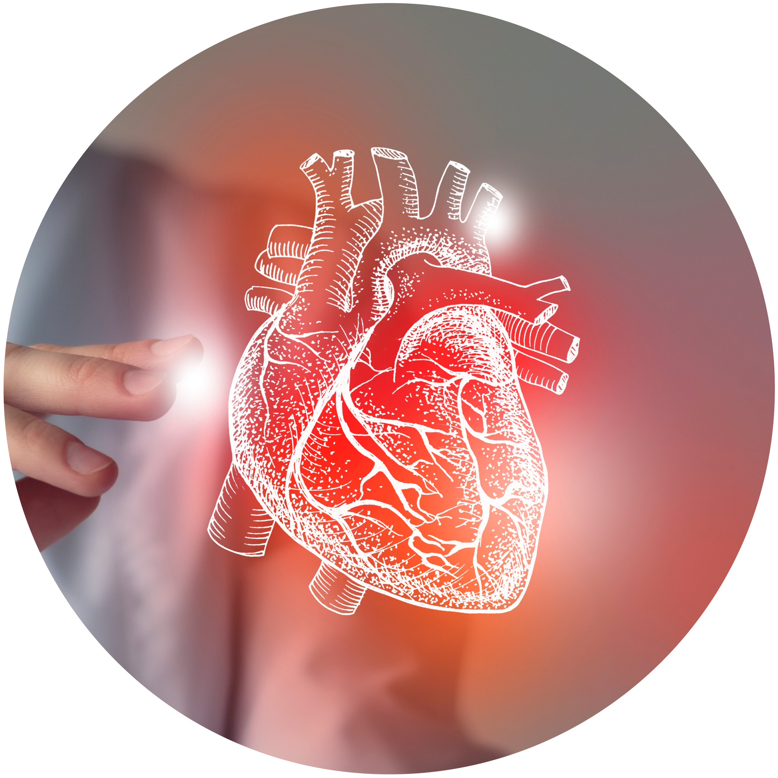 Eccezionale intervento di disostruzione coronarica su un bambino di 7 anni