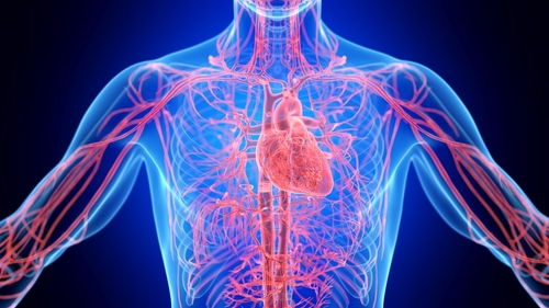 Rapporto statistico AHA 2025 su malattie cardiovascolari e ictus