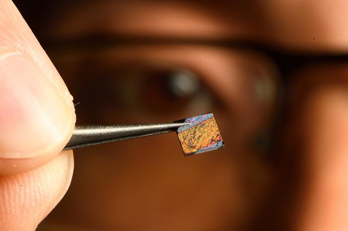 Spettroscopia SERS avanzata per la rilevazione quantitativa dei biomarcatori cardiaci