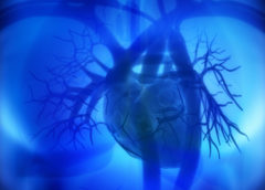 Avere più valori ideali di salute cardiovascolare riduce il rischio di eventi avversi